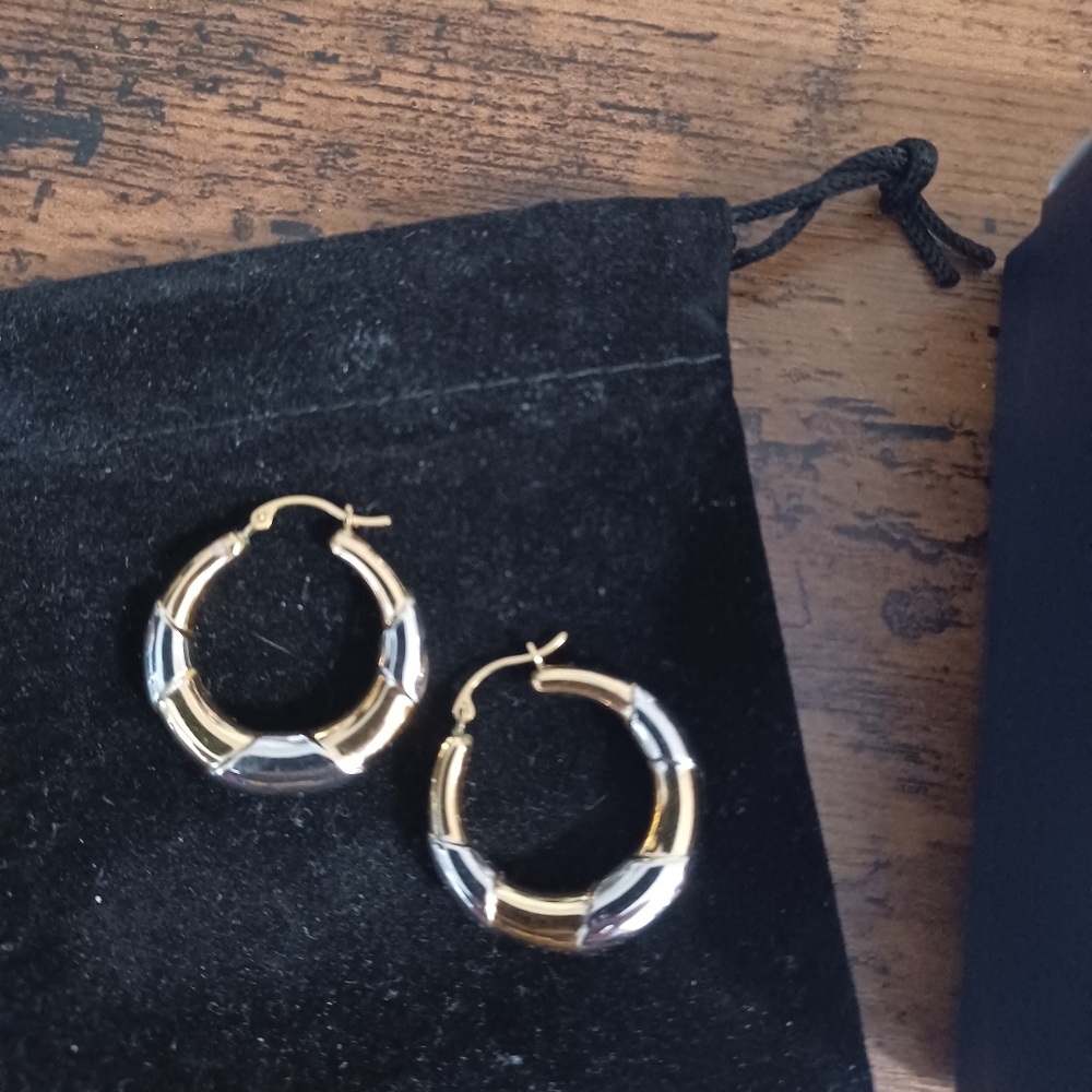14K Two Tone Earrings